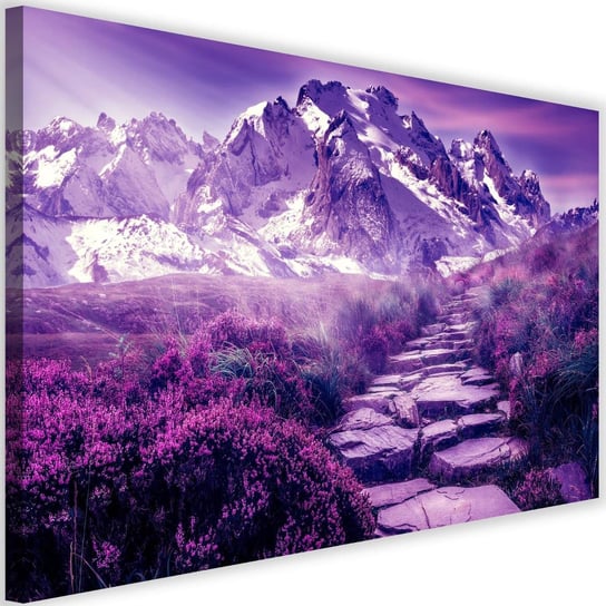 Obraz na płótnie Canvas FEEBY, Kamienna droga na szczyt, 60x40 cm Feeby