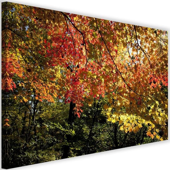 Obraz na płótnie Canvas FEEBY, Kolorowe liście, 120x80 cm Feeby