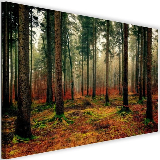 Obraz na płótnie Canvas FEEBY, Kolorowy las, 120x80 cm Feeby