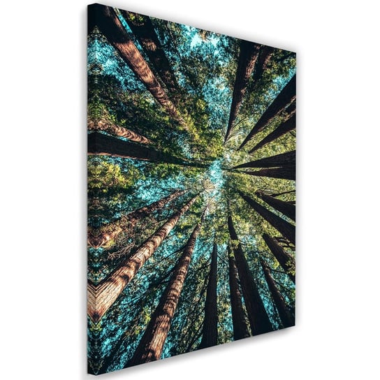 Obraz na płótnie Canvas FEEBY, Konary wysokich drzew, 80x120 cm Feeby