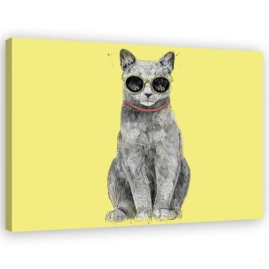 Obraz na płótnie Canvas FEEBY Kot w okularach żółte tło, 100x70 cm Feeby