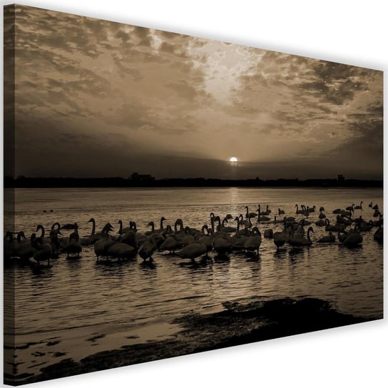 Obraz na płótnie Canvas FEEBY, Łabędzie na brzegu jeziora, 120x80 cm Feeby