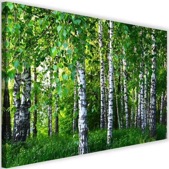 Obraz na płótnie Canvas FEEBY, Las brzozowy, 120x80 cm Feeby