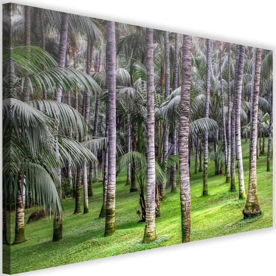 Obraz na płótnie Canvas FEEBY, Las palmowy, 60x40 cm Feeby