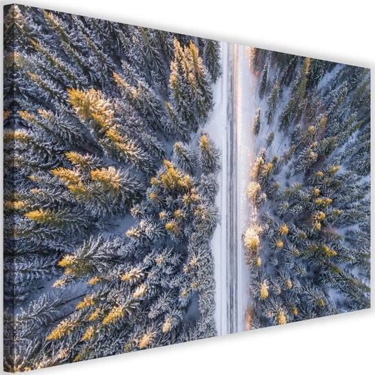 Obraz na płótnie Canvas FEEBY, Las zimą z lotu ptaka, 120x80 cm Feeby