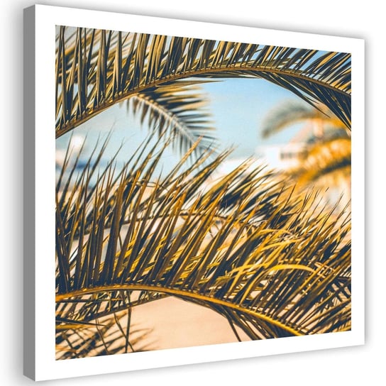 Obraz na płótnie Canvas FEEBY, Liście palmy, 40x40 cm Feeby