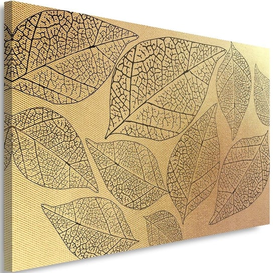 Obraz na płótnie Canvas FEEBY, Liście roślinne, 60x40 cm Feeby