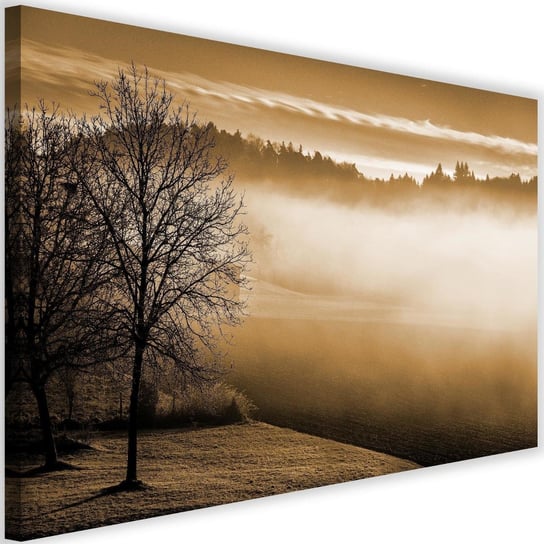 Obraz na płótnie Canvas FEEBY, Mgła nad jeziorem, 120x80 cm Feeby