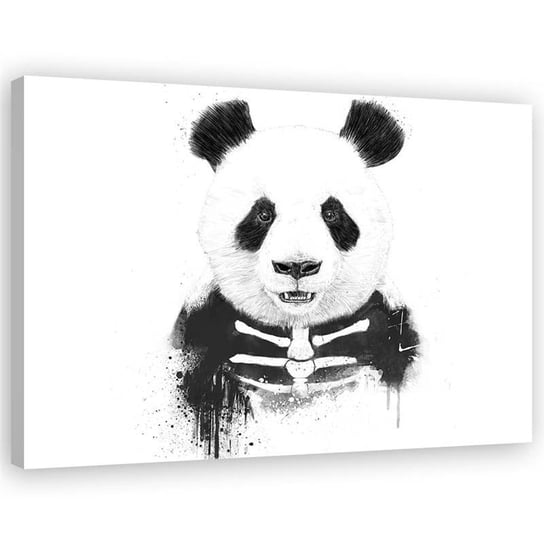 Obraz na płótnie Canvas FEEBY Miś panda szkielet abstrakcja, 70x50 cm Feeby