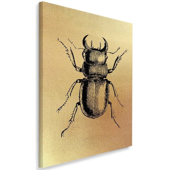 Obraz na płótnie Canvas FEEBY, Narysowany owad, 50x70 cm Feeby