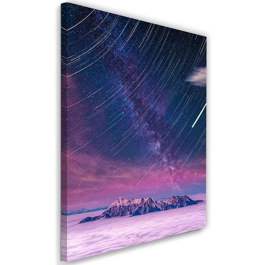 Obraz na płótnie Canvas FEEBY, Noc spadających gwiazd, 40x60 cm Feeby
