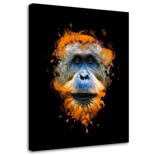 Obraz na płótnie Canvas FEEBY, Orangutan małpa, 70x100 cm Feeby