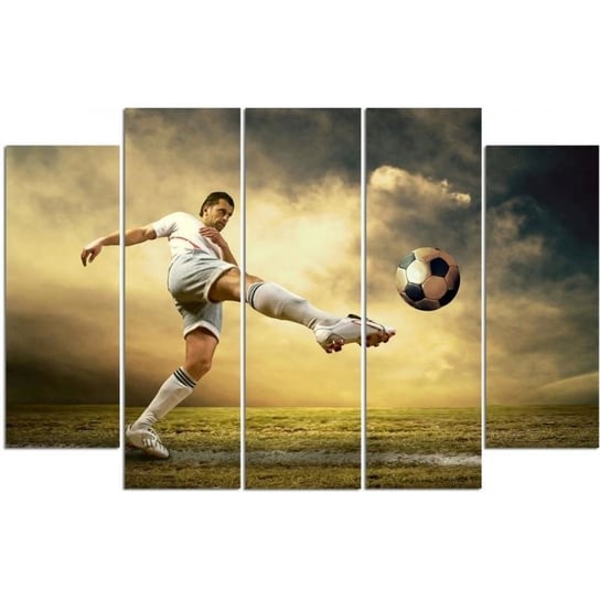 Obraz na płótnie Canvas FEEBY, pentaptyk typ B, Piłkarz strzelajacy z woleja, 100x70 cm Feeby