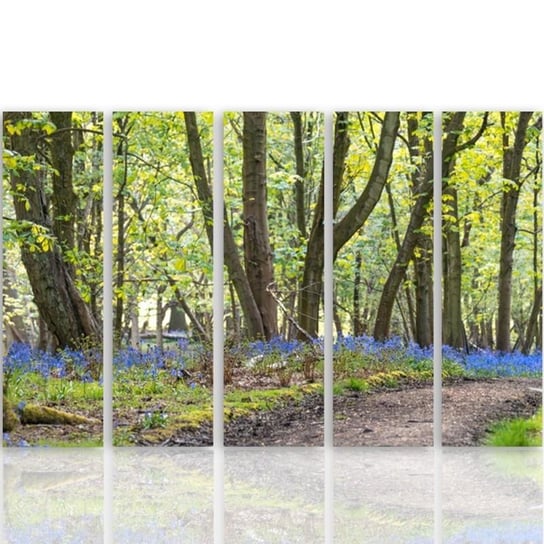 Obraz na płótnie Canvas FEEBY, pentaptyk typ C, Wiosna w parku, 100x70 cm Feeby