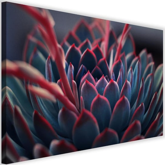 Obraz na płótnie Canvas FEEBY, Piękna roślina, 120x80 cm Feeby
