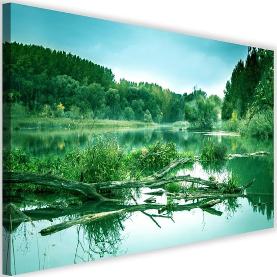 Obraz na płótnie Canvas FEEBY, Powalone drzewo w jeziorze, 120x80 cm Feeby