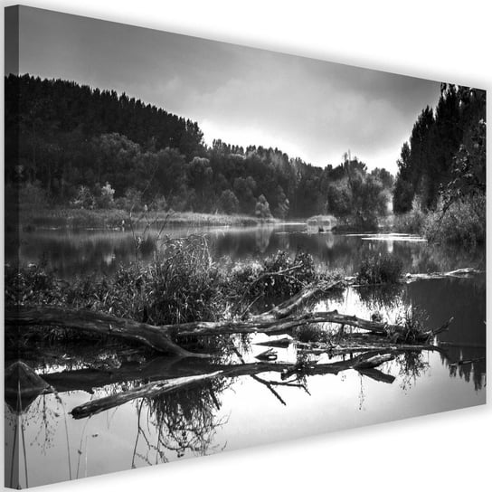 Obraz na płótnie Canvas FEEBY, Powalone drzewo w jeziorze, 120x80 cm Feeby
