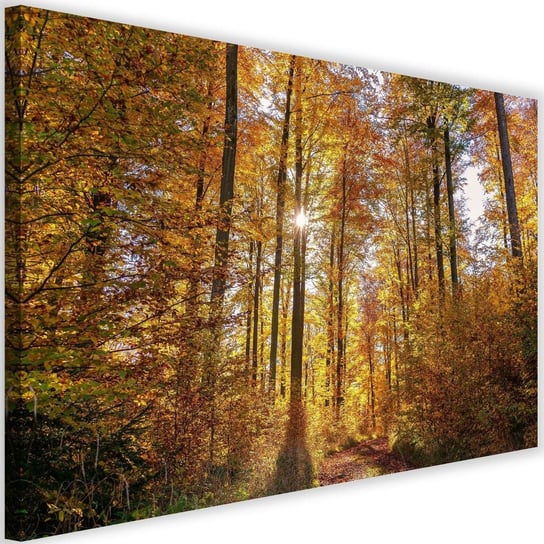 Obraz na płótnie Canvas FEEBY, Promienie słońca w lesie, 120x80 cm Feeby