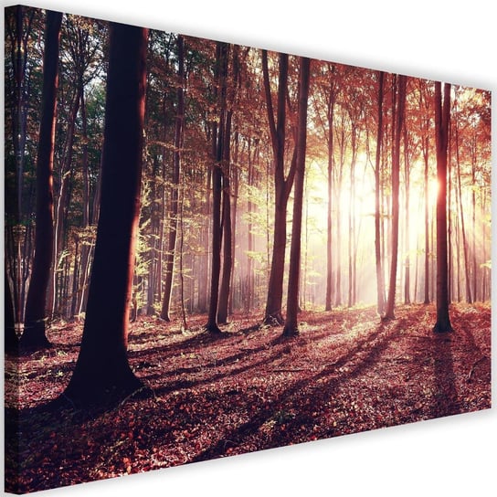Obraz na płótnie Canvas FEEBY, Promienie słońca wśród drzew, 90x60 cm Feeby