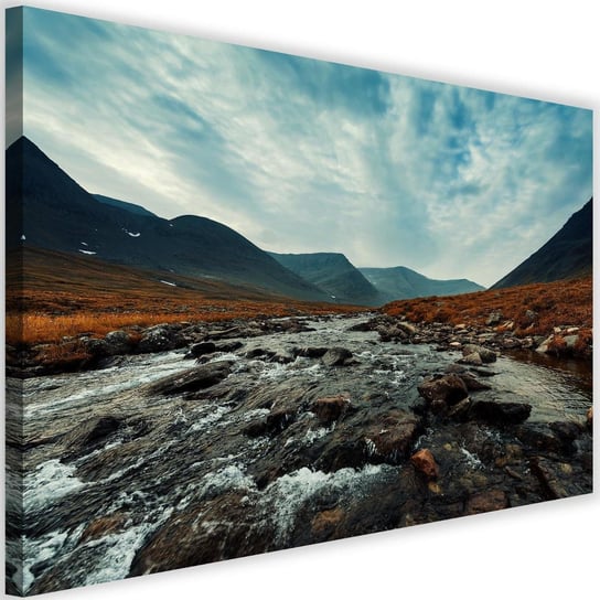 Obraz na płótnie Canvas FEEBY, Rwąca rzeka, 60x40 cm Feeby