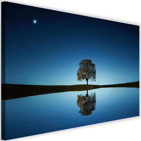 Obraz na płótnie Canvas FEEBY, Samotne drzewo,  120x80 cm Feeby