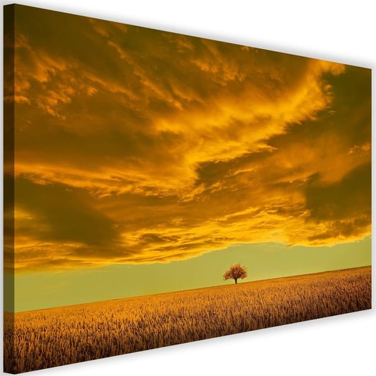 Obraz na płótnie Canvas FEEBY, Samotne drzewo w polu, 120x80 cm Feeby