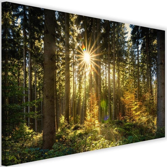 Obraz na płótnie Canvas FEEBY, Słońce w lesie, 120x80 cm Feeby