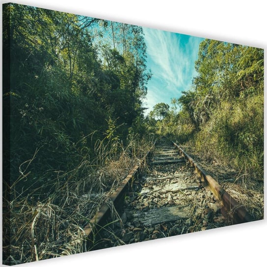 Obraz na płótnie Canvas FEEBY, Stare tory kolejowe, 90x60 cm Feeby