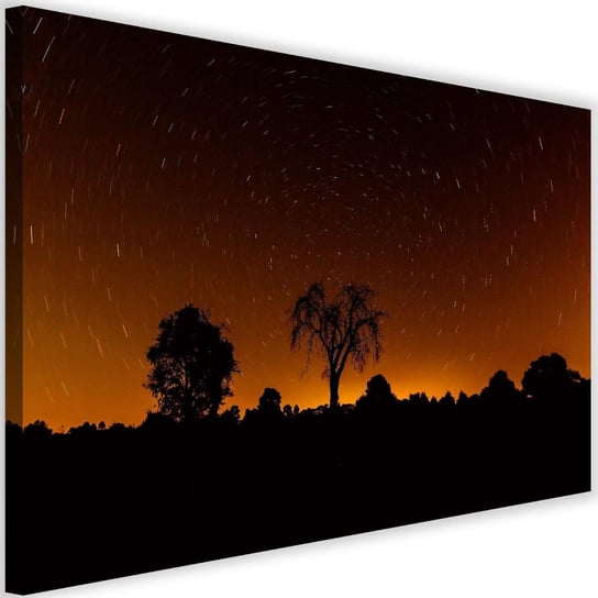 Obraz na płótnie Canvas FEEBY, Światła gwiazd, 60x40 cm Feeby