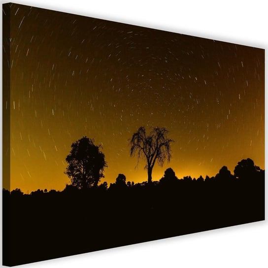 Obraz na płótnie Canvas FEEBY, Światła gwiazd, 90x60 cm Feeby