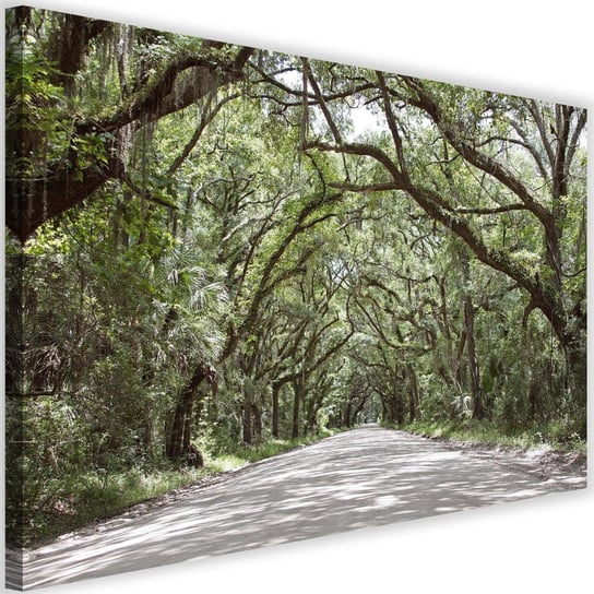 Obraz na płótnie Canvas FEEBY, Szeroka droga w lesie, 60x40 cm Feeby