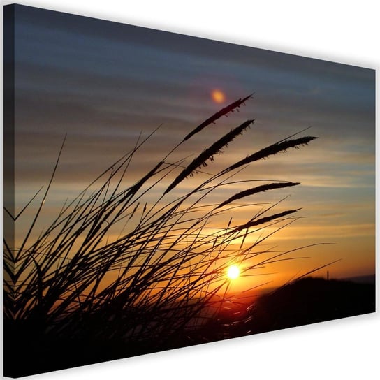 Obraz na płótnie Canvas FEEBY, Trawy i zachód słońca, 120x80 cm Feeby