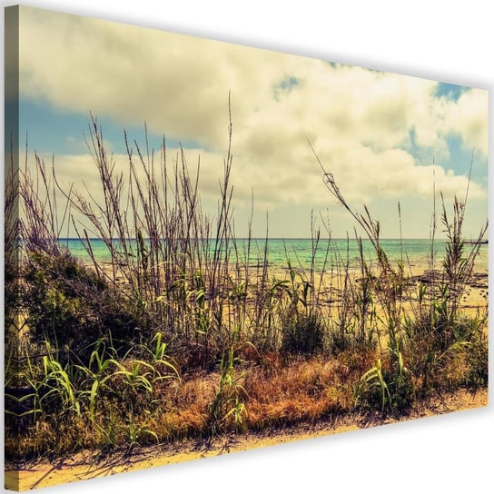 Obraz na płótnie Canvas FEEBY, Trawy nad błękitnym morzem, 120x80 cm Feeby