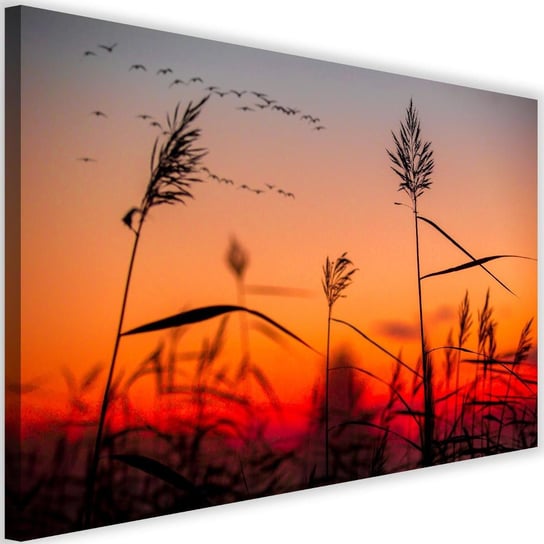 Obraz na płótnie Canvas FEEBY, Trawy o zachodzie słońca, 120x80 cm Feeby