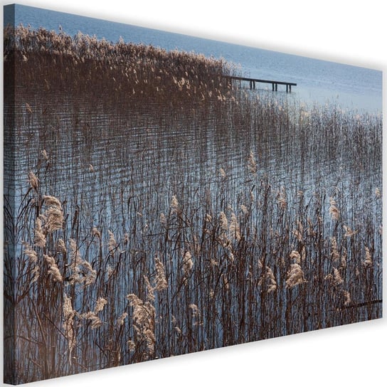 Obraz na płótnie Canvas FEEBY, Trzciny nad morzem, 90x60 cm Feeby