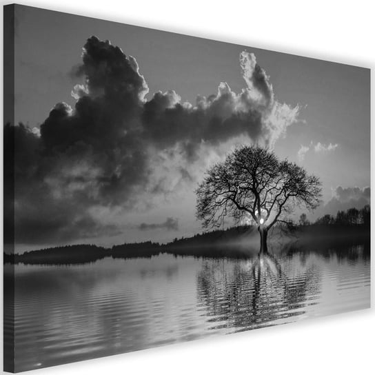 Obraz na płótnie Canvas FEEBY, Widok na drzewo o zachodzie, 90x60 cm Feeby
