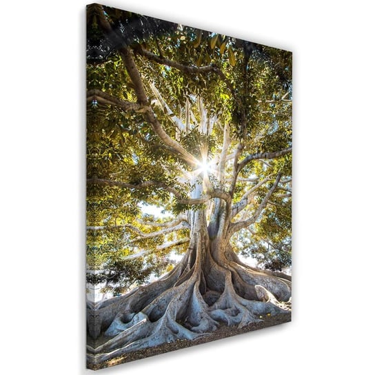 Obraz na płótnie Canvas FEEBY, Wielkie egzotyczne drzewo, 40x60 cm Feeby