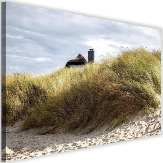 Obraz na płótnie Canvas FEEBY, Wydmy na plaży, 90x60 cm Feeby