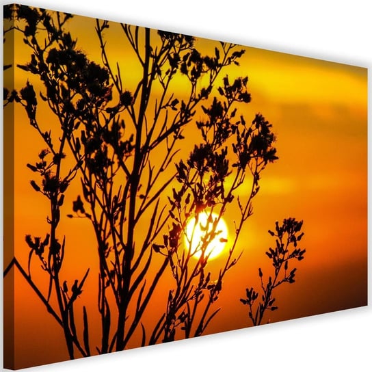 Obraz na płótnie Canvas FEEBY, Zachód słońca za rośliną, 90x60 cm Feeby