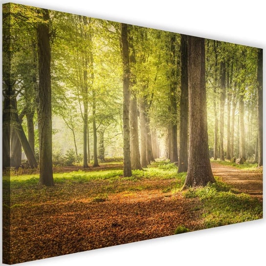 Obraz na płótnie Canvas FEEBY, Zielony las, 120x80 cm Feeby