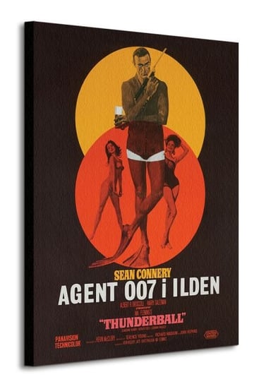 Obraz na płótnie, canvas James Bond, 60x80x150 James Bond