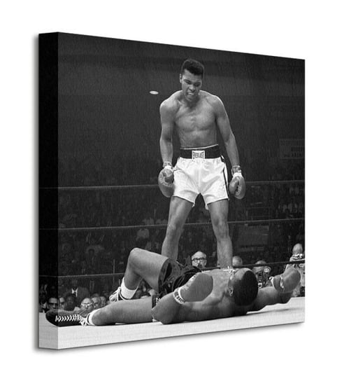 Obraz na płótnie/canvas, Muhammad Ali, 40x40 cm Muhammad Ali