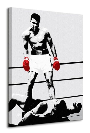 Obraz na płótnie, canvas Muhammad Ali, 60x80x150 Muhammad Ali
