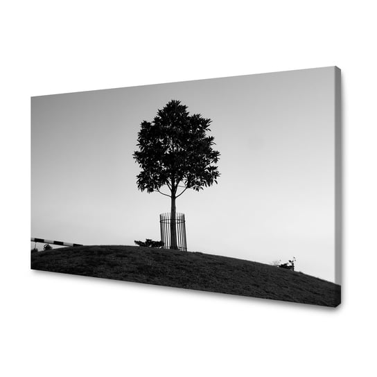 Obraz Na Płótnie Canvas Natura Drzewko 120X80 Cm GP TONER