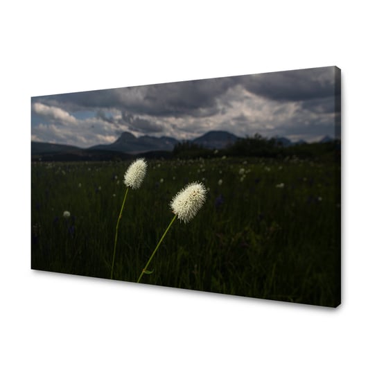 Obraz Na Płótnie Canvas Natura Kwiatki Polne 120X70 Cm GP TONER