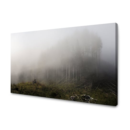 Obraz Na Płótnie Canvas Natura Mgła Widok 120X80 Cm GP TONER