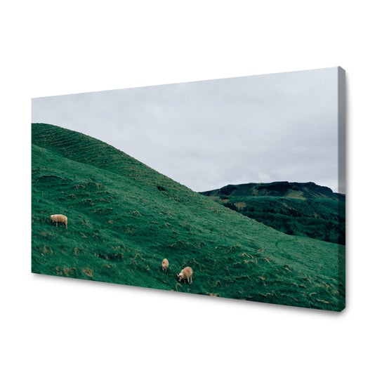 Obraz Na Płótnie Canvas Natura Pastwisko 100X60 Cm GP TONER