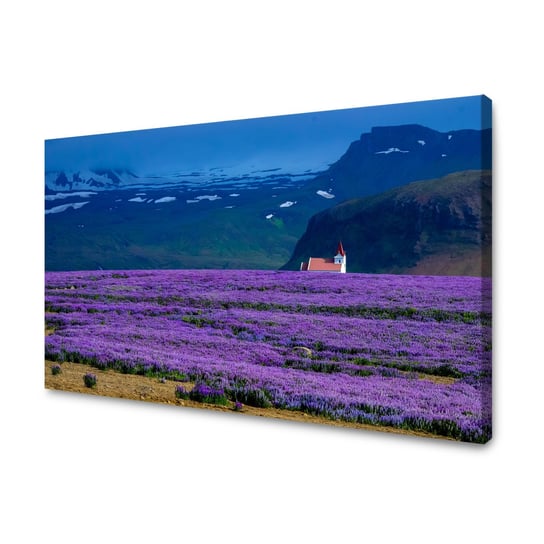 Obraz Na Płótnie Canvas Natura Pole Lawendy 40X30 Cm GP TONER