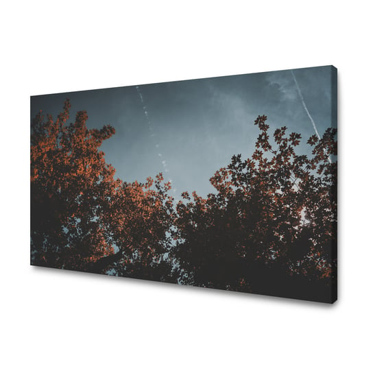 Obraz Na Płótnie Canvas Natura Pomarańczowe Korony Drzew 100X60 Cm GP TONER