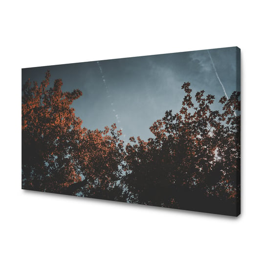 Obraz Na Płótnie Canvas Natura Pomarańczowe Korony Drzew 120X70 Cm GP TONER